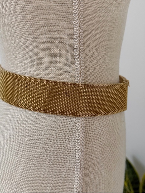Vintage Sarah Coventry Gold Mesh with Chain Waist Belt Designer Style main image 4